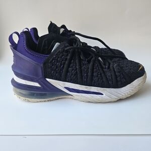 Nike Le Bron Sneakers